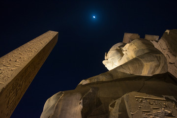 Horus tour program at Egyptian specialist