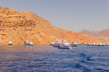 Diving safari from Sharm El Sheikh at Egyptian specialist
