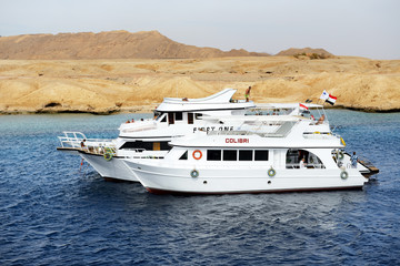 Marsa alam: beautiful underwater world