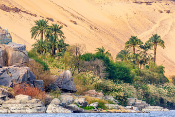 Siwa Oasis Safari