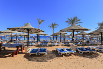 Transfert Marsa Alam