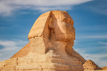 Visite privée d'Horus en Egypte