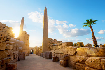 Visite privée d'Horus en Egypte