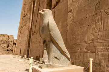 Visite privée d'Horus en Egypte