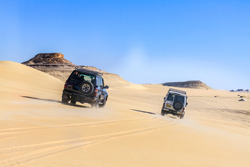 Oasis Safari de Siwa