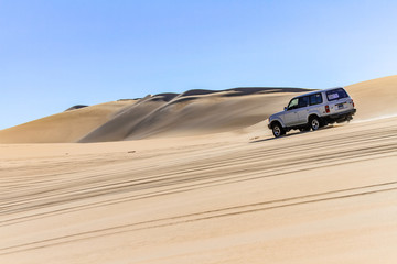 Safari dans le désert blanc