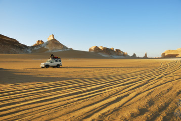 Safari dans le désert blanc