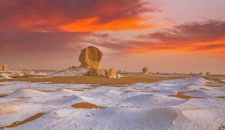 Safari nel deserto bianco