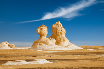 Safari nel deserto bianco