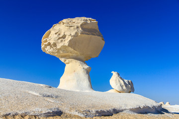 Safari nel deserto bianco